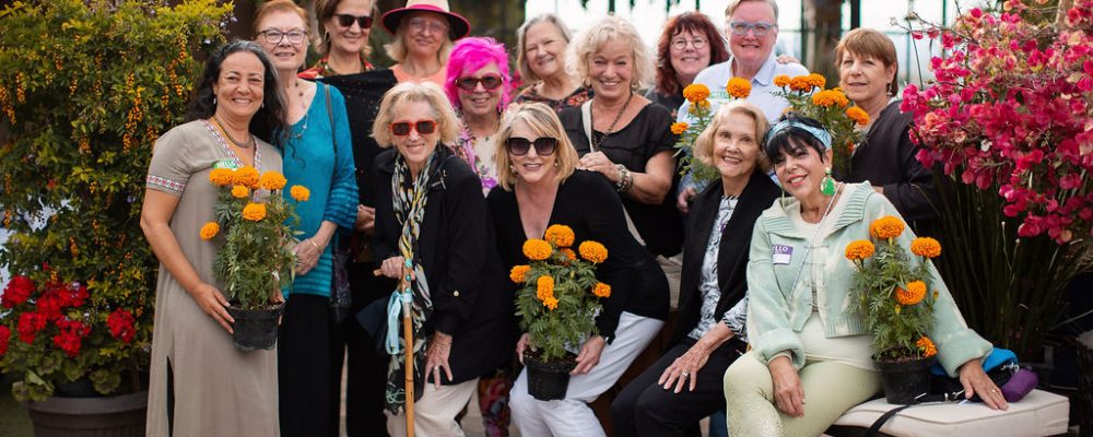 Group of Women
