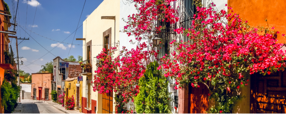 San Miguel Streets and BUildings